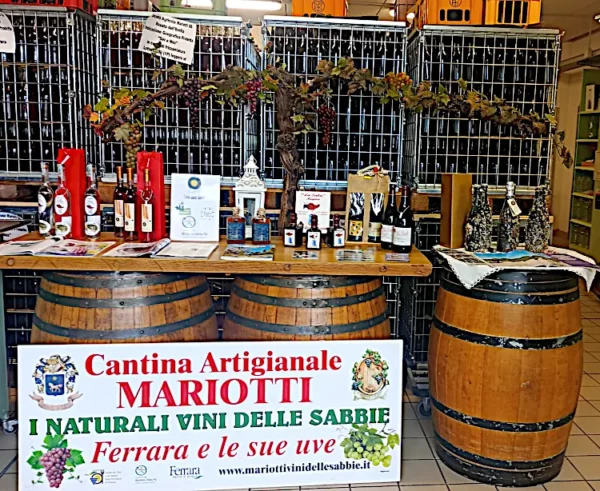 vini-delle-sabbie-di-mirco-mariotti